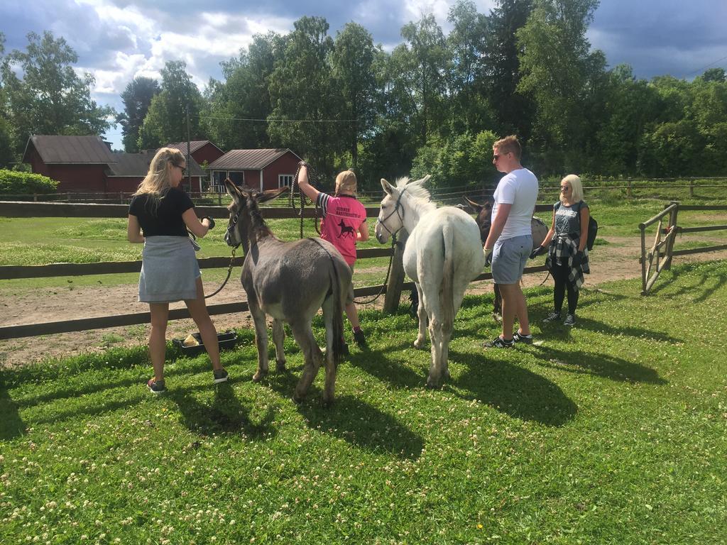 Tukkilan Tila Bed & Breakfast Porvoo Luaran gambar